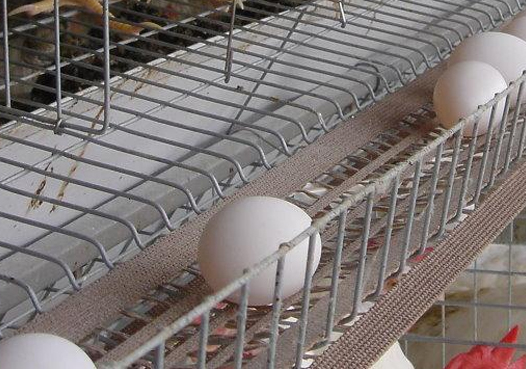 多元化產(chǎn)品 滿(mǎn)足需求